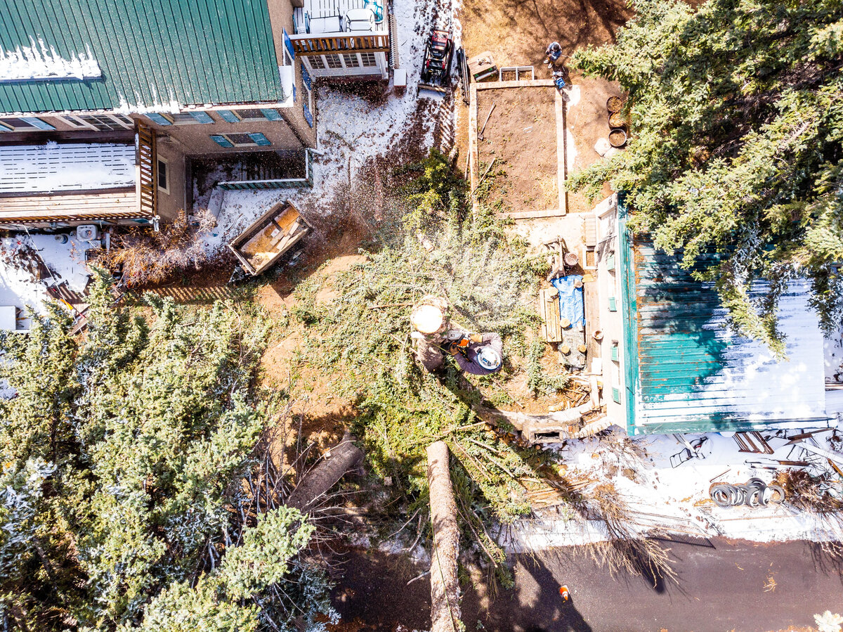 Drone view of tree work above a Butte property