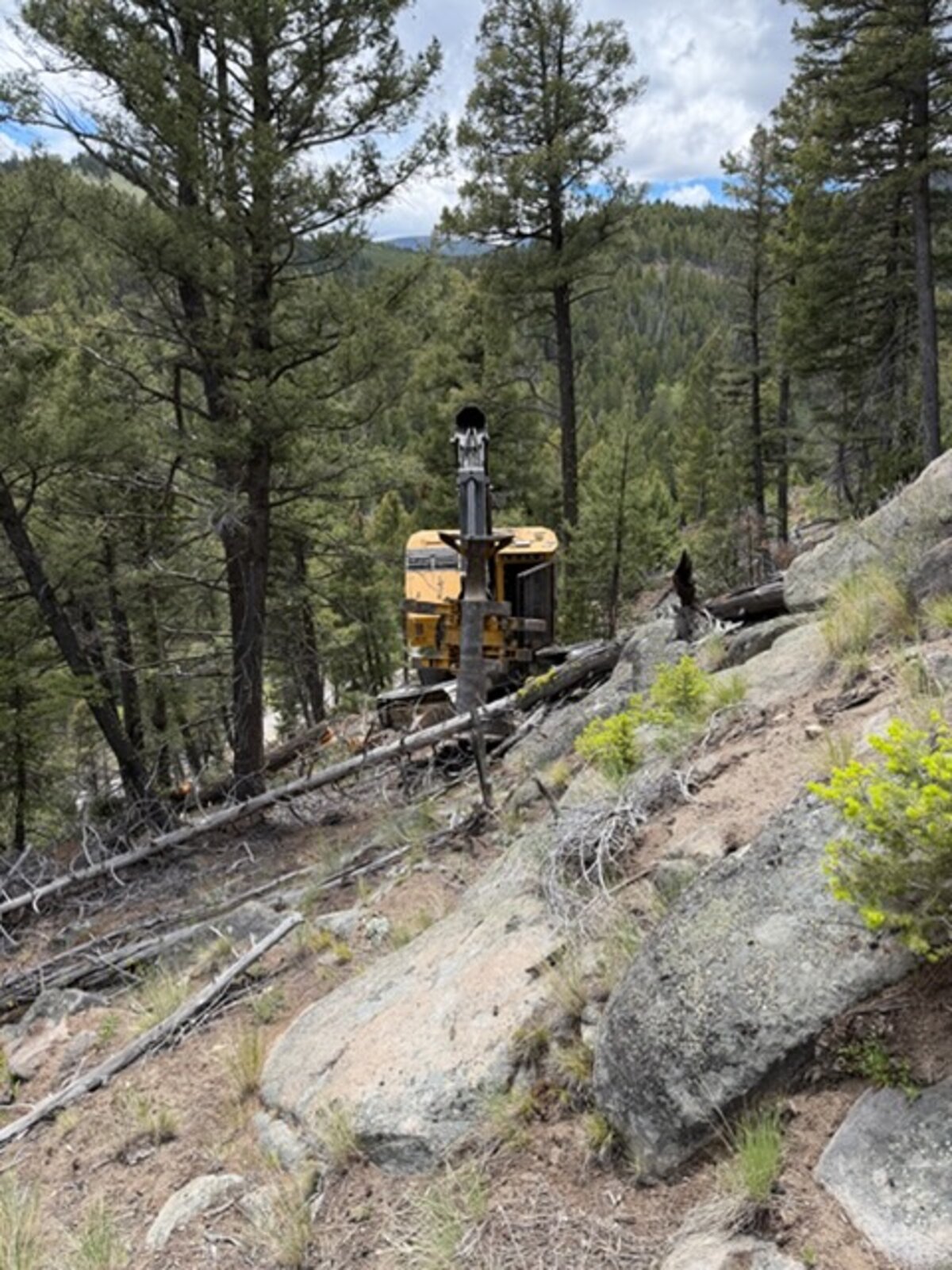 Over The Top's Tigercat forestry equipment on a clearing job
