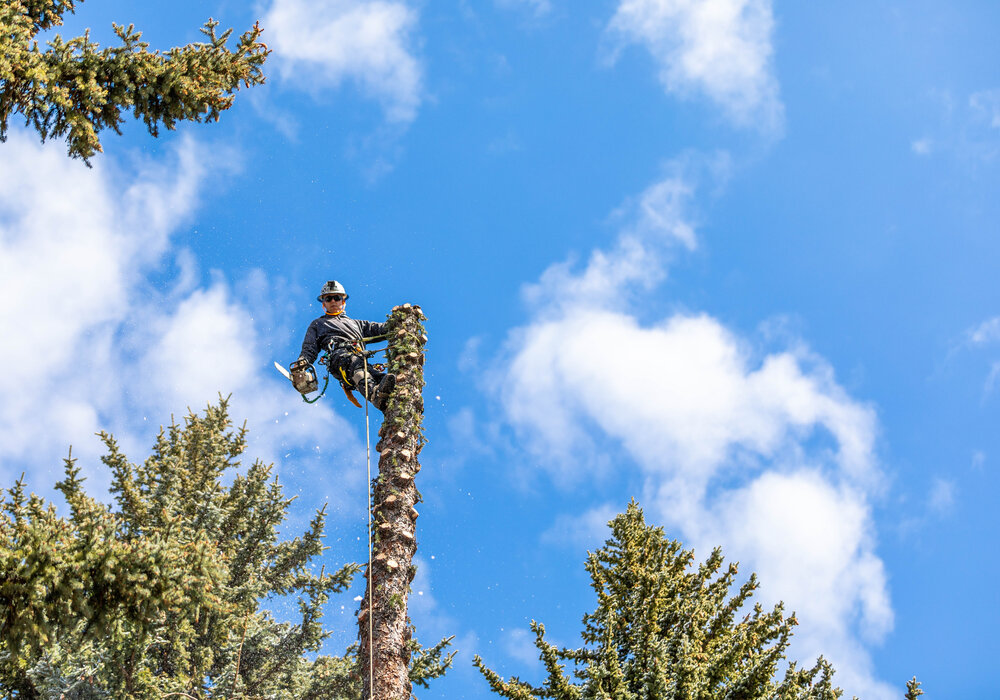 Over The Top Tree Service lifting a tree section with equipment
